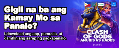 Premium Gaming Experience
