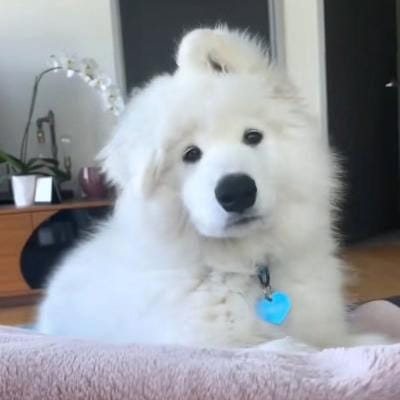 Raymond Gutierrez avatar